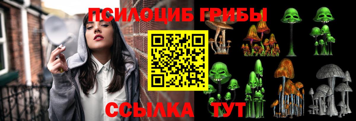 Галлюциногенные грибы Psilocybine cubensis  Псилоцибиновые грибы Psilocybe  Всеволожск  Вход с VPN 